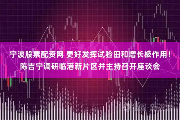 宁波股票配资网 更好发挥试验田和增长极作用！陈吉宁调研临港新片区并主持召开座谈会