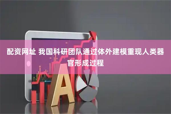 配资网址 我国科研团队通过体外建模重现人类器官形成过程
