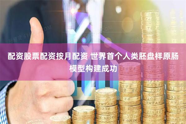配资股票配资按月配资 世界首个人类胚盘样原肠模型构建成功